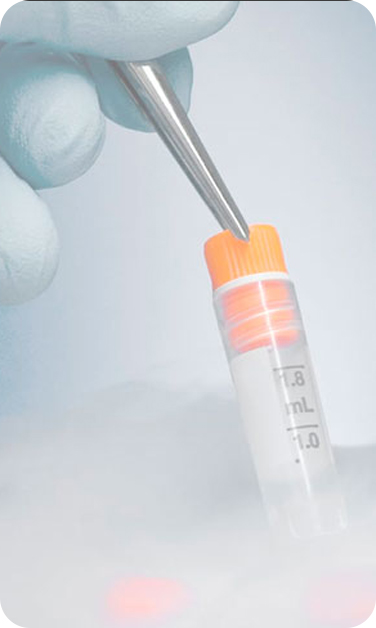FertLife Clinic - Congelamento de sêmen